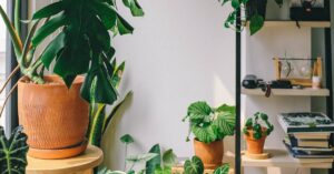 Ilmankostuttimet - Ilmakypsennin Taikaa: Näin Valmistat Täydellisen Rapeat Ranskalaiset ja Kananahan