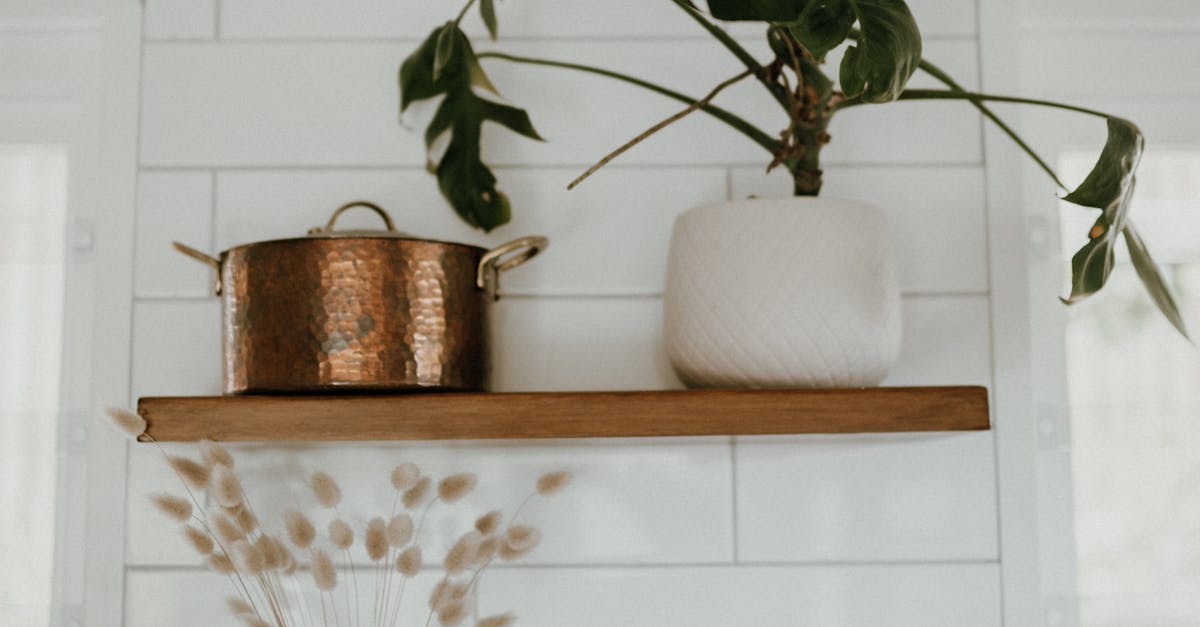 Keittokirjat - Löydä Keittiösi Uusi Lemppari: Vuoden 2023 Kuumimmat Uudet Keittokirjat Revealed