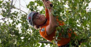 Lisätodellisuus - Henkilökohtaiset elokuvolasit mullistavat katselukokemuksesi – Tutustu tulevaisuuden viihteeseen!