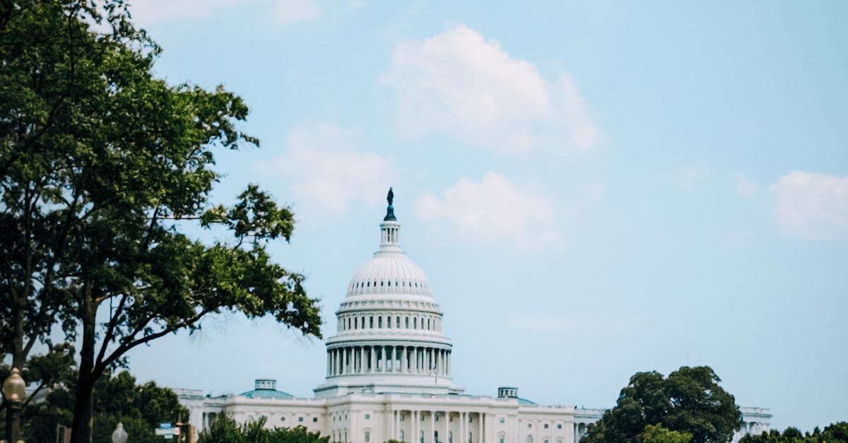 Kilpailuoikeus - Google kilpailuoikeudenkäynti – Miten se muokkaa digitaalisen maailman tulevaisuutta?