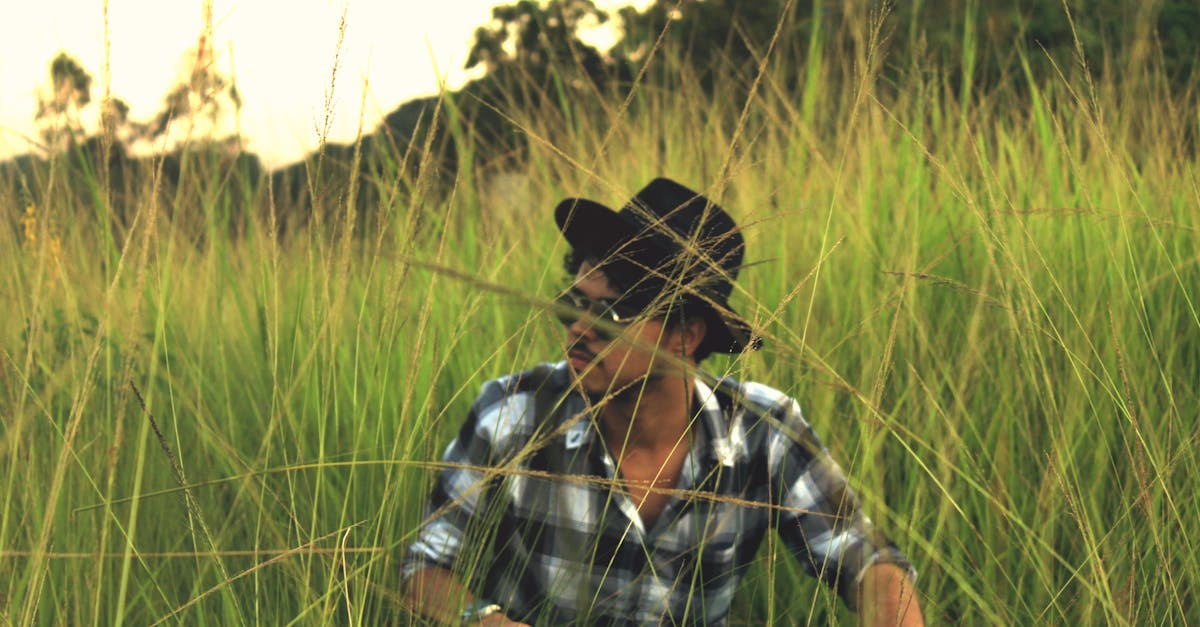 Kasvienhoito - Digiaikakauden viherpeukalot huomio: Kasvien hoito mullistuu uuden teknologian myötä