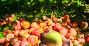 MagSafe-laturi: Uusi askel kohti langatonta tulevaisuutta