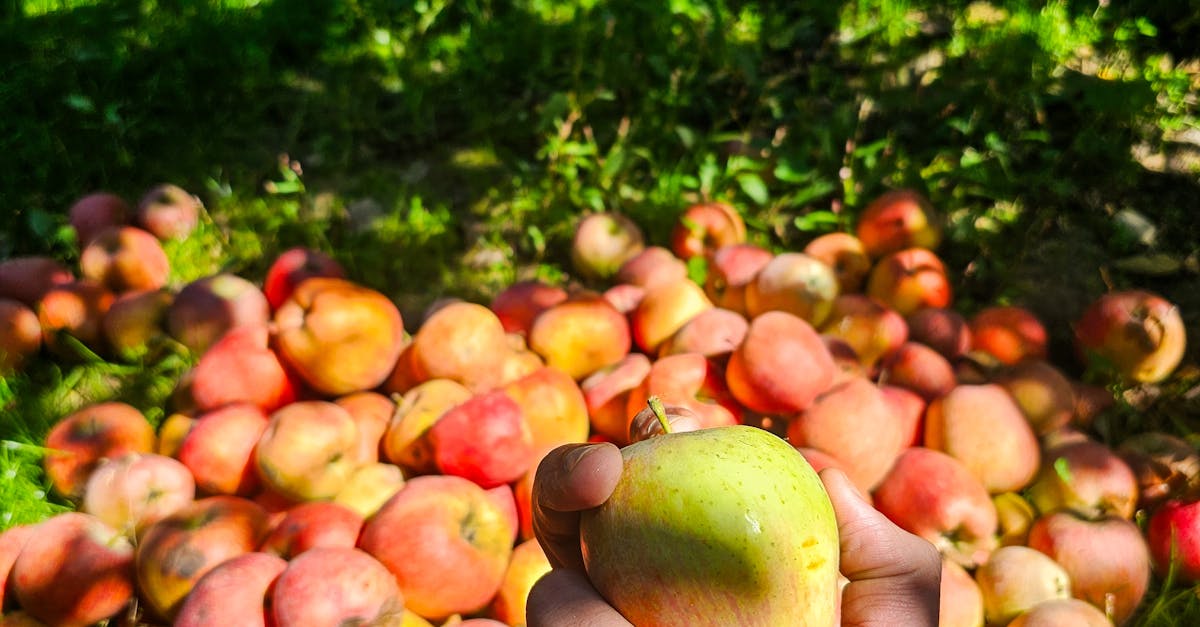 MagSafe-laturi: Uusi askel kohti langatonta tulevaisuutta