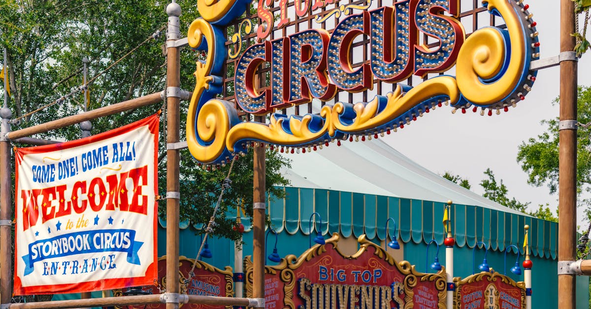 Suoratoisto - Aloita Uusi Vuosi Viihteen Parissa: Disney+ ja Hulu Yhteistarjous Nyt Ennennäkemättömän Edullisesti