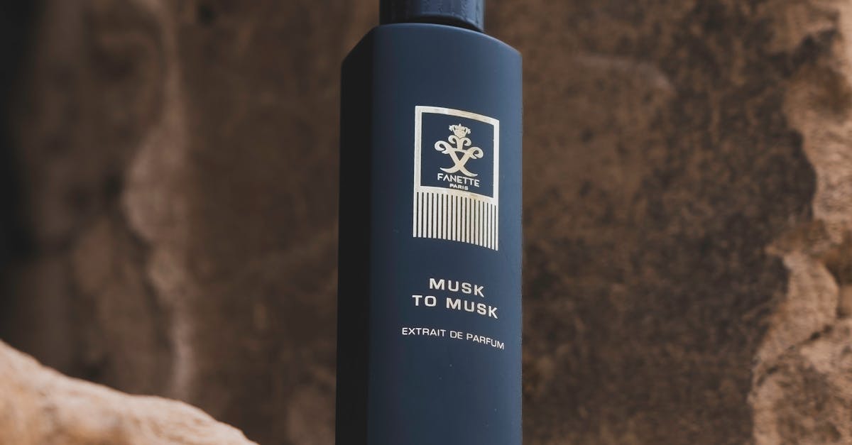 SpaceX:n Uusi Aluevaltaus: Miljoonan Satelliittilaivue AI:n Voimin